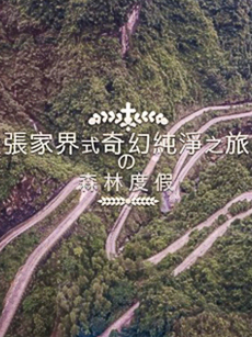 张家界式奇幻纯净之旅